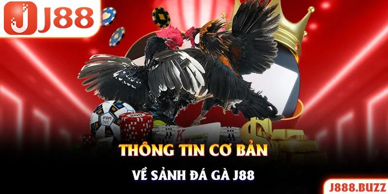 Tìm hiểu sức hút sân chơi đá gà J88 trực tuyến